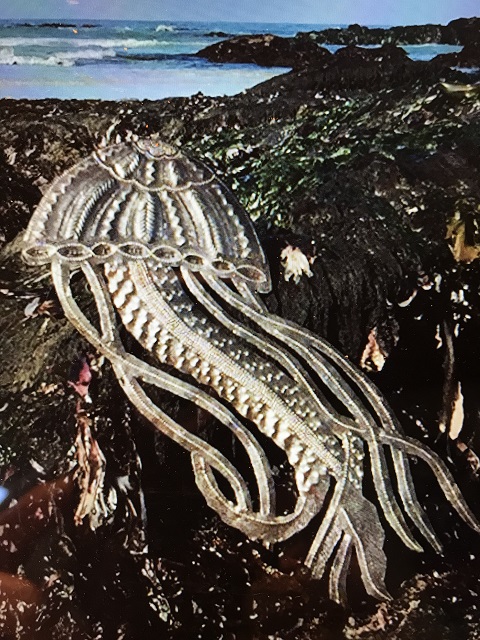 jellyfish sculpture from Haiti